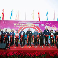 第36屆公益金百萬行逾4萬人齊舉步 用善行溫暖全城