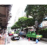 市政署于风季前进行树木巡查及修剪工作