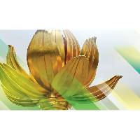 海關關長黃文忠感激中央政府