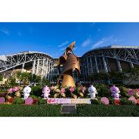 十五运会第二次代表团团长会议今举行