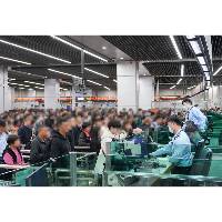 新春期間澳門整體通關情況