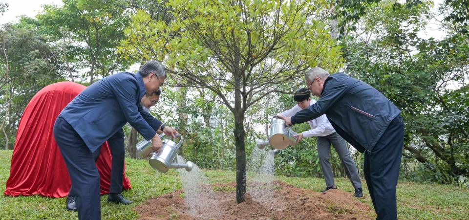 行政长官植中华楠　宣扬共建生态文明