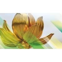 岑浩辉祝贺澳门武术运动员在亚运会取得一金一银佳绩
